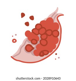 trozo de pepomegranato estilo dibujado a mano. ilustración vectorial aislada en fondo blanco