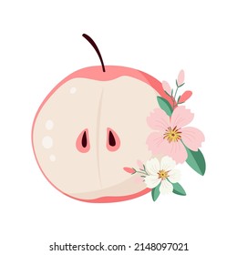Trozo de manzana roja con flores primaverales y rama florida sobre un fondo aislado. manzanas cortadas con semillas. Las frutas vectoriales se dibujan de forma plana.