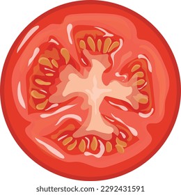 slice of red, fresh, juicy tomato with yellow seeds, vector illustration