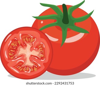 rote, frische, saftige Tomate mit gelben Samen und ganze rote Tomate, Vektorgrafik