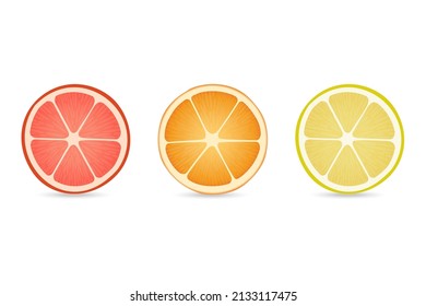
Slice of red grapefruit, lemon, orange on a white background. vector fruits.