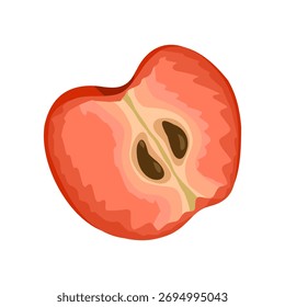 Slice of a ripe apple fruit isolated on white. Vector hand drawn cartoon simple illustration for packaging design, menu, labels, branding, stickers, print