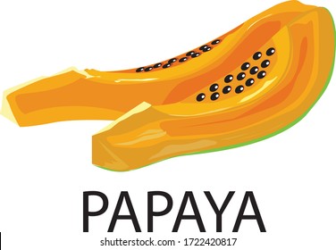 Slice ripe papaya illustration isolated on the white background