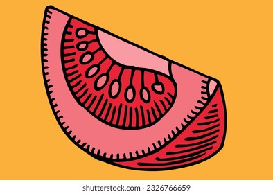 slice of ripe tomato vector illustration