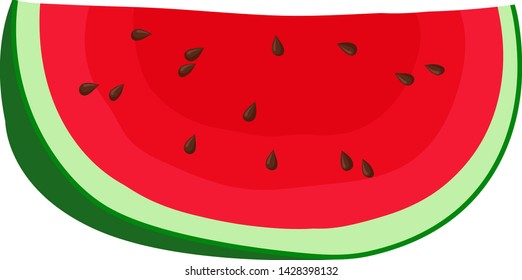 Slice of ripe watermelon. Vector illustration on white background.
