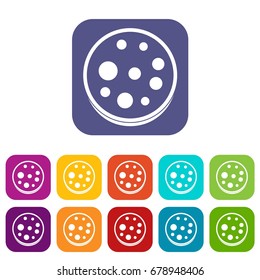 Slice of salami icons set vector illustration in flat style In colors red, blue, green and other