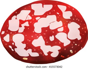 Slice of salami sausage, isolated on white, vector illustration