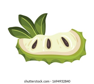 Slice of Soursop Fruit or Guanabana with Dark Green Rind Covered with Thick Thorns Vector Illustration