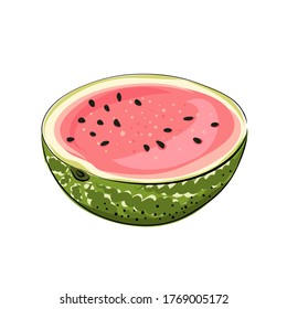Slice striped and red watermelon with black seeds, sketch style, vector illustration isolated on white background. Realistic hand drawing of cut ripe big berry.