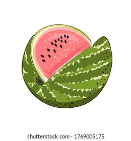 Slice striped and red watermelon with black seeds, sketch style, vector illustration isolated on white background. Realistic hand drawing of cut ripe big berry.