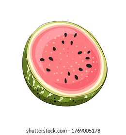 Slice striped and red watermelon with black seeds, sketch style, vector illustration isolated on white background. Realistic hand drawing of cut ripe big berry.