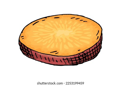 Slice sweet potato. Vintage engraving vector color illustration. Isolated on white background.
