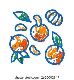 fatia tangerina clementina descascada ícone doodle esboço vetor. fatia tangerina clementina descascada sinal. símbolo isolado ilustração