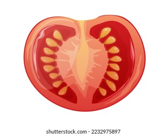 Slice of tomato on an isolated background. Sliced vegetable.