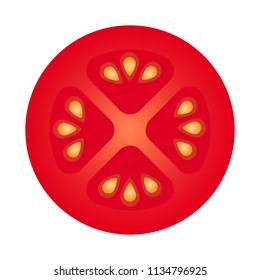 Slice of tomato. Top view macro detail tomato slice texture. Vector illustration isolated on white background.
