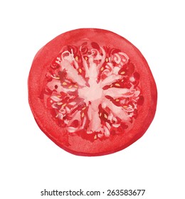 slice of tomato, watercolor vector illustration 