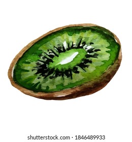 A slice of watercolor green kiwi on a white background.Kiwi slice can be used for juices, menus, napkins, covers, notebooks, pajamas, postcards.