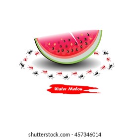 slice of watermelon  cut with seed Flat design background vector  isolated on white