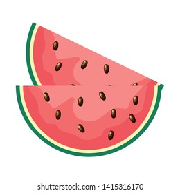 slice watermelon fruit on white background vector illustration