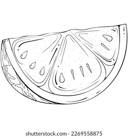 Slice of watermelon with seeds. Vector illustration in hand drawn sketch doodle style. Line art botanical natural ingredient for juice isolated on white. Close up summer fruit. Coloring book page