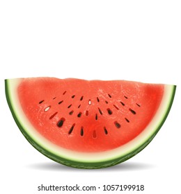 Slice of watermelon. Vector illustration