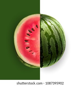 Slice of watermelon. Vector illustration