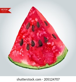 Slice of watermelon. Vector watercolor illustration.