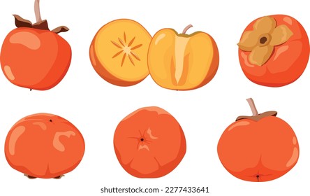 Slice and whole of juicy persimmon. Fresh cartoon persimmon