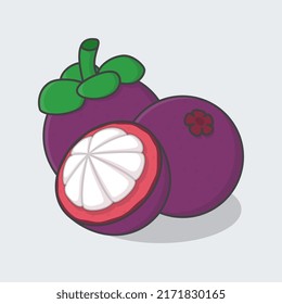 Slice And Whole Of Mangosteen Cartoon Vector Illustration. Mangosteen Fruit Flat Icon Outline