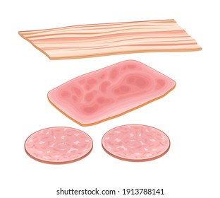 Slice of Wurst and Bacon as Breakfast Ingredients Vector Illustration