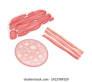 Slice of Wurst and Bacon as Breakfast Ingredients Vector Illustration