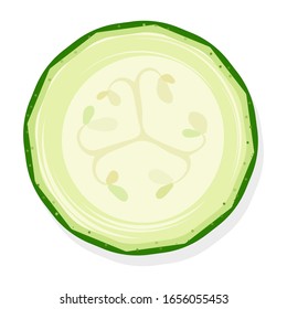 Slice of zucchini isolated on white background. Ripe zucchini. Vector illustration.