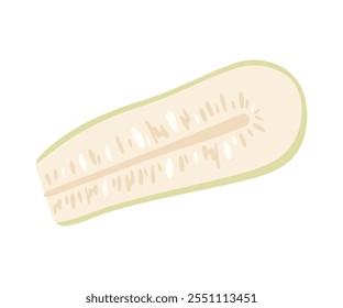 Slice zucchini isolated on white background. Hand drawing vector illustration