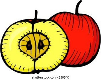 Sliced apple. Check my portfolio for many more images of this series.