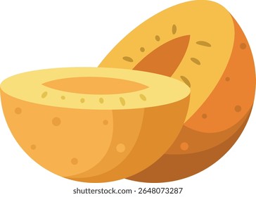 Sliced apricot fuit vector illustration