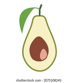 sliced avocado fruit vector design