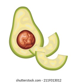 Sliced avocado set, flat vector fruits, hand drawn isolated on white. Healthy vegan food, ecological products.