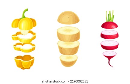 Sliced Bell Pepper, Potato and Radish Arranged in Vertical Row as Cut Food Vector Set