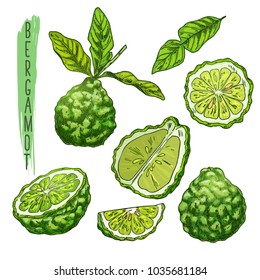 Sliced bergamot orange fruit, juicy asian makrut or raw kaffir lime with and leaves, thai fresh raw citrus for drink or food. Nature and organic nutrition, vitamin and botany, plant and herb theme