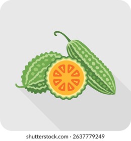 Sliced Bitter Gourd Illustration with Orange Flesh on Gray Background.