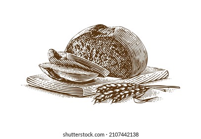 sliced bread composition Hand drawing sketch engraving illustration style