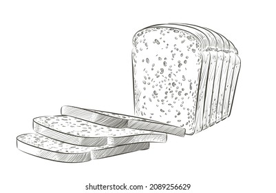 sliced bread. The cut loaf of square toast bread for sandwich. Logo, icon. Vector sketch realistic line vintage illustration