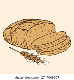 Sliced Bread Loaf Vector Illustration. Sandwich Bread Illustration. Wheat Loaf Slices. Wheat ear. Hand drawn bakery product