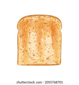 Sliced bread toast. Slice of a whole wheat white bread. Bakery, food, piece of roasted crouton for sandwich snack. Realistic vector illustration image.