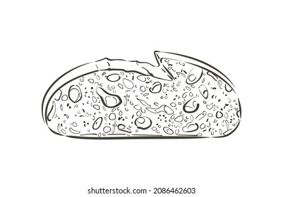Sliced bread toast. Slice of a whole wheat white bread. Bakery, food, piece of roasted crouton for sandwich snack. Realistic vector illustration image.