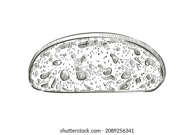 Sliced bread toast. Slice of a whole wheat rye white bread. Bakery, food, piece of roasted crouton for sandwich snack. Realistic vector illustration image.