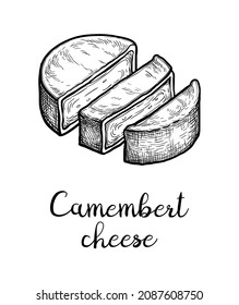 Sliced camembert cheese. Ink sketch isolated on white background. Hand drawn vector illustration. Vintage style stroke drawing.