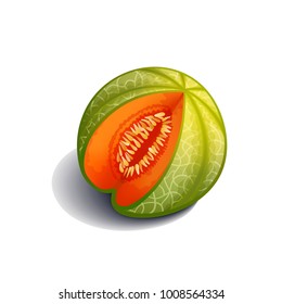 Sliced cantaloupe melon on a white background, colorful vector illustration.