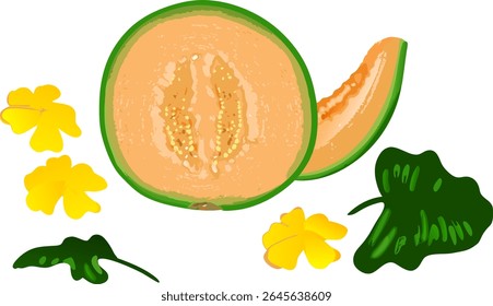 Melão cantaloupe fatiado com polpa suculenta visível, rodeado por flores delicadas e folhas exuberantes — ideal para visuais culinários, botânicos ou de verão