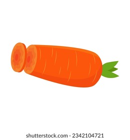Sliced carrot vector illustration  Cartoon drawing slice   half orange vegetable isolated white background  Food  nutrition  diet concept
